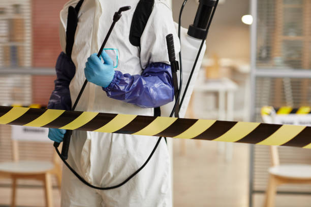 Professional Sewage Cleanup technician working in Highland, AR